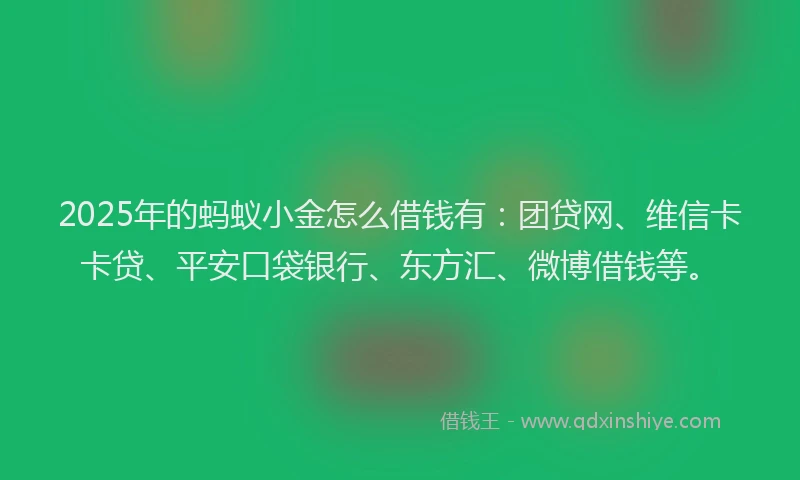 2025年的蚂蚁小金怎么借钱有：团贷网、维信卡卡贷、平安口袋银行、东方汇、微博借钱等。