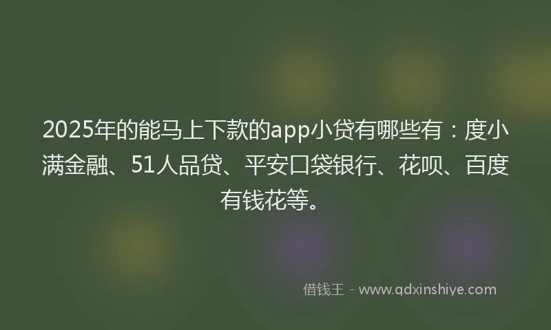 2025年的能马上下款的app小贷有哪些有：度小满金融、51人品贷、平安口袋银行、花呗、百度有钱花等。