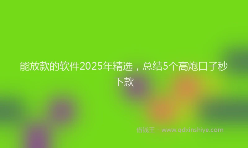 能放款的软件2025年精选，总结5个高炮口子秒下款