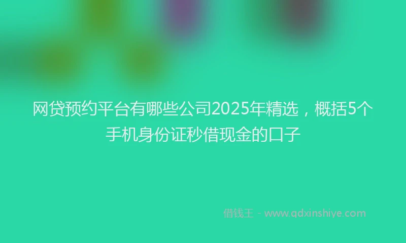 网贷预约平台有哪些公司2025年精选，概括5个手机身份证秒借现金的口子