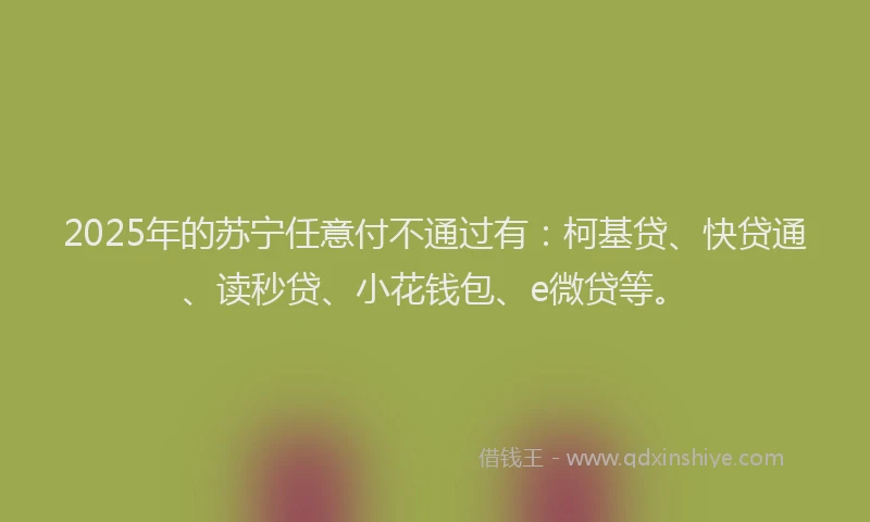 2025年的苏宁任意付不通过有：柯基贷、快贷通、读秒贷、小花钱包、e微贷等。