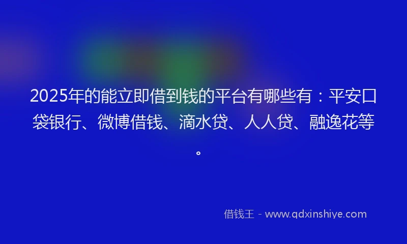 2025年的能立即借到钱的平台有哪些有：平安口袋银行、微博借钱、滴水贷、人人贷、融逸花等。