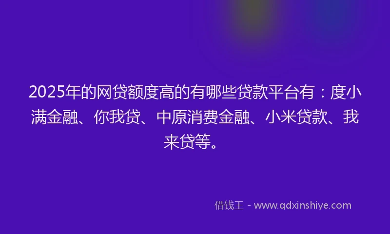 2025年的网贷额度高的有哪些贷款平台有：度小满金融、你我贷、中原消费金融、小米贷款、我来贷等。