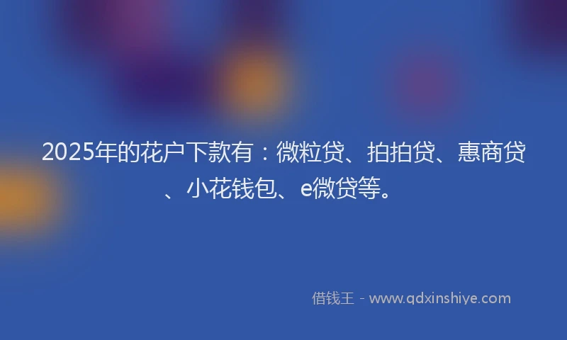 2025年的花户下款有：微粒贷、拍拍贷、惠商贷、小花钱包、e微贷等。