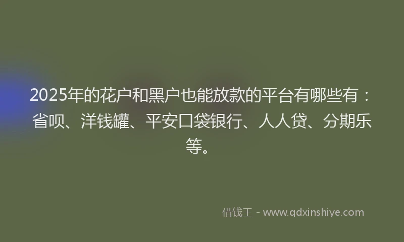 2025年的花户和黑户也能放款的平台有哪些有：省呗、洋钱罐、平安口袋银行、人人贷、分期乐等。