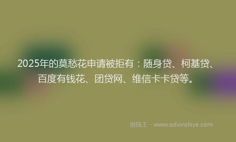 2025年的莫愁花申请被拒有：随身贷、柯基贷、百度有钱花、团贷网、维信卡卡贷等。