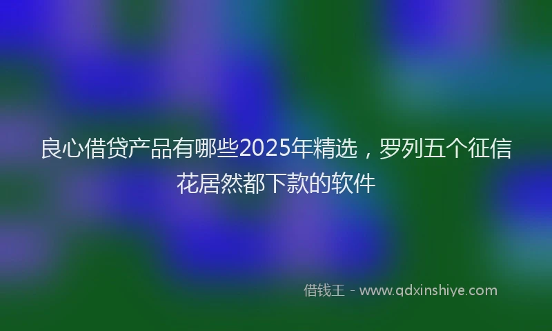 良心借贷产品有哪些2025年精选，罗列五个征信花居然都下款的软件