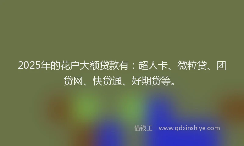 2025年的花户大额贷款有：超人卡、微粒贷、团贷网、快贷通、好期贷等。