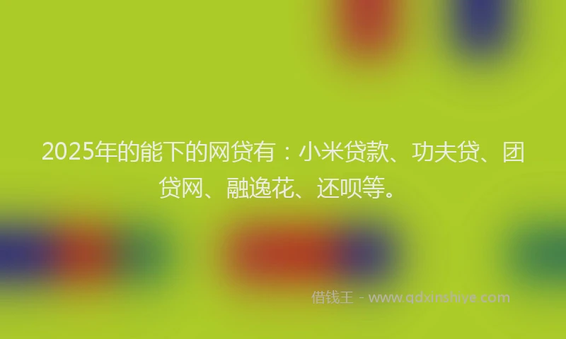 2025年的能下的网贷有：小米贷款、功夫贷、团贷网、融逸花、还呗等。