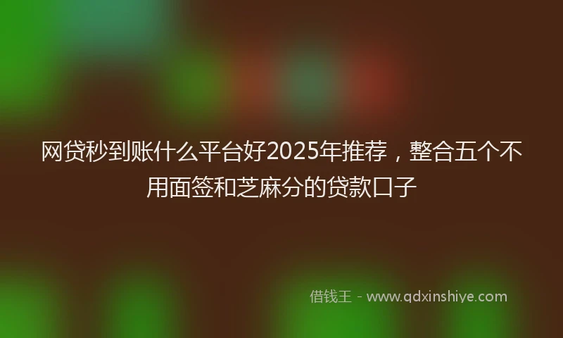网贷秒到账什么平台好2025年推荐，整合五个不用面签和芝麻分的贷款口子