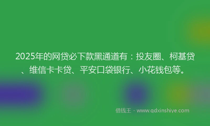 2025年的网贷必下款黑通道有：投友圈、柯基贷、维信卡卡贷、平安口袋银行、小花钱包等。