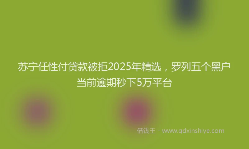 苏宁任性付贷款被拒2025年精选，罗列五个黑户当前逾期秒下5万平台