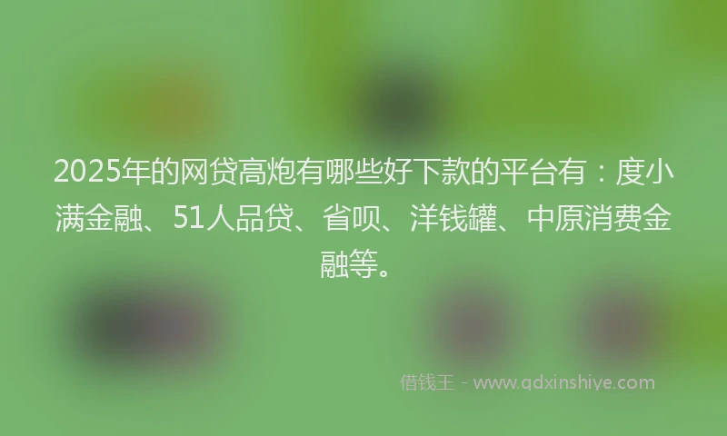 2025年的网贷高炮有哪些好下款的平台有：度小满金融、51人品贷、省呗、洋钱罐、中原消费金融等。