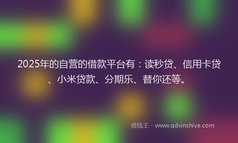 2025年的自营的借款平台有：读秒贷、信用卡贷、小米贷款、分期乐、替你还等。