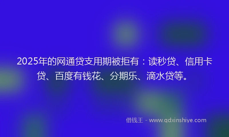 2025年的网通贷支用期被拒有：读秒贷、信用卡贷、百度有钱花、分期乐、滴水贷等。