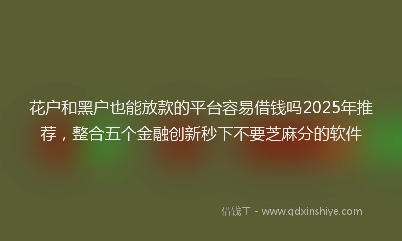 花户和黑户也能放款的平台容易借钱吗2025年推荐，整合五个金融创新秒下不要芝麻分的软件