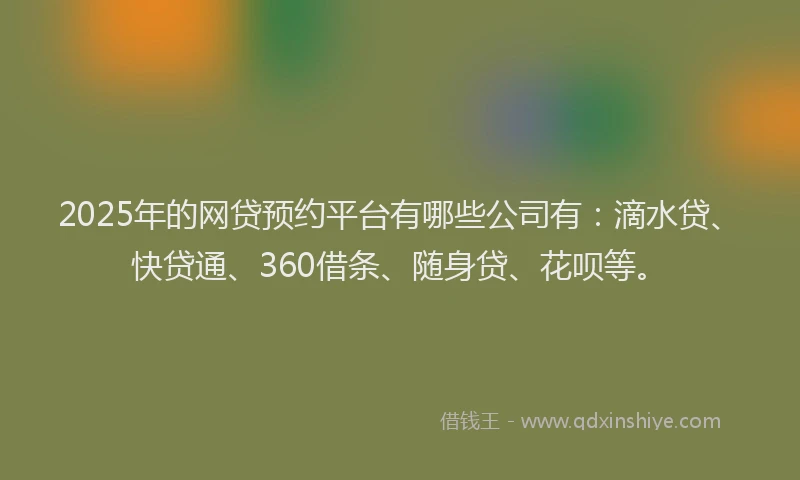 2025年的网贷预约平台有哪些公司有：滴水贷、快贷通、360借条、随身贷、花呗等。