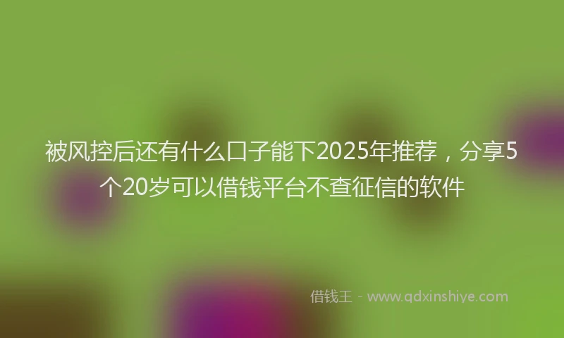 被风控后还有什么口子能下2025年推荐，分享5个20岁可以借钱平台不查征信的软件