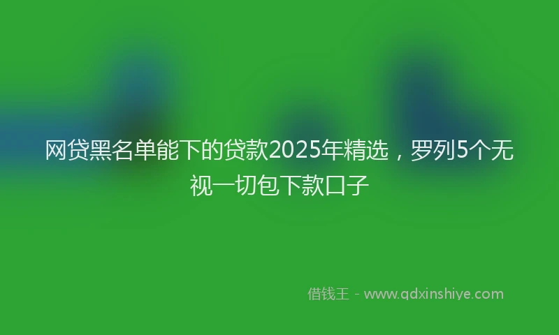 网贷黑名单能下的贷款2025年精选，罗列5个无视一切包下款口子