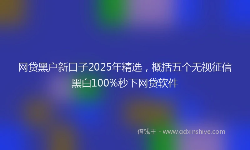 网贷黑户新口子2025年精选，概括五个无视征信黑白100%秒下网贷软件