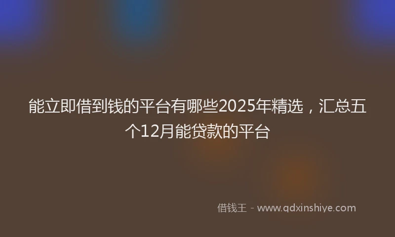 能立即借到钱的平台有哪些2025年精选，汇总五个12月能贷款的平台