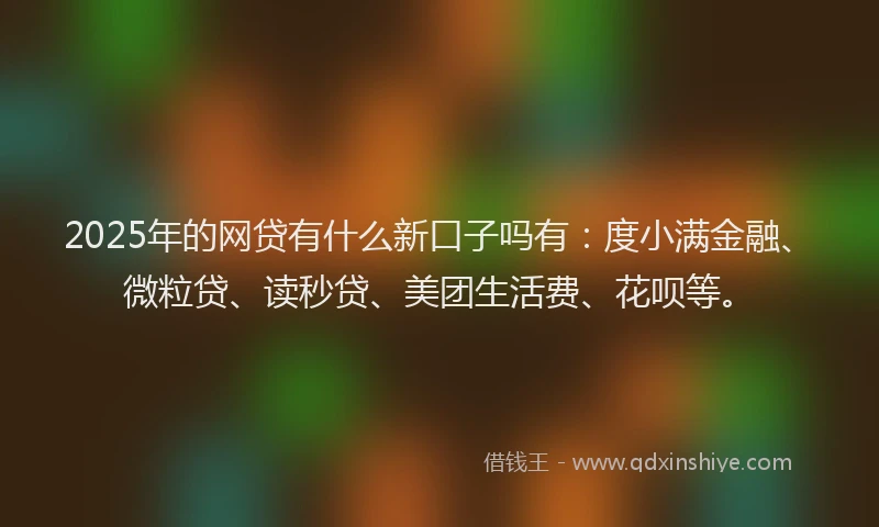 2025年的网贷有什么新口子吗有：度小满金融、微粒贷、读秒贷、美团生活费、花呗等。