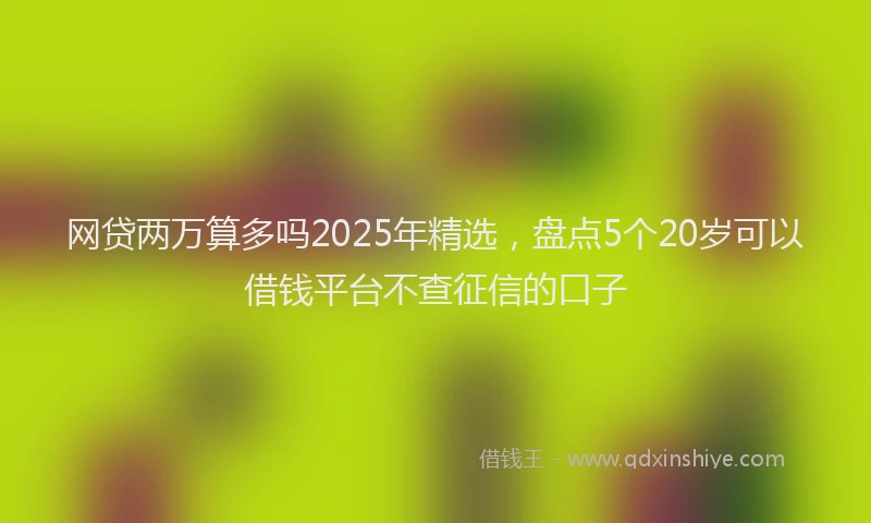 网贷两万算多吗2025年精选，盘点5个20岁可以借钱平台不查征信的口子