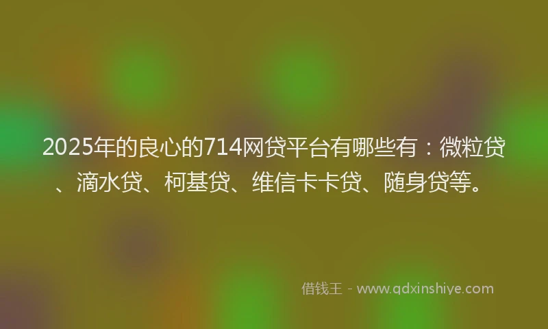 2025年的良心的714网贷平台有哪些有：微粒贷、滴水贷、柯基贷、维信卡卡贷、随身贷等。