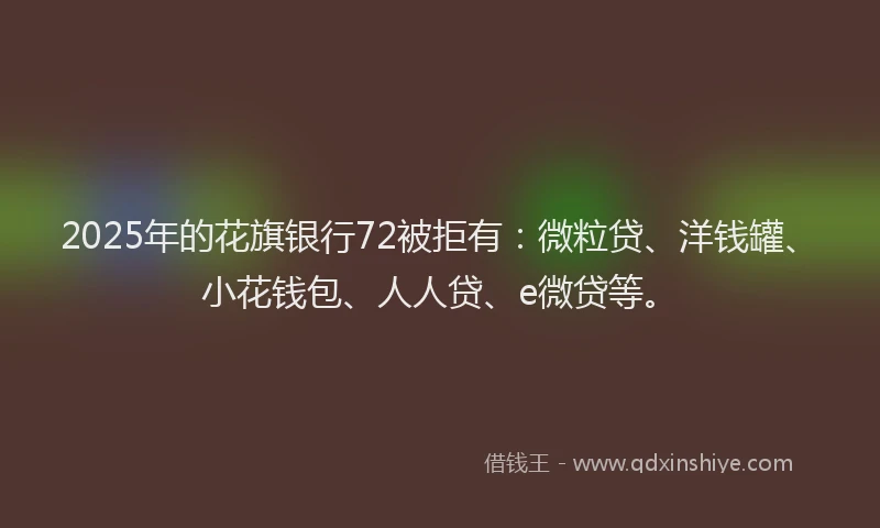 2025年的花旗银行72被拒有：微粒贷、洋钱罐、小花钱包、人人贷、e微贷等。