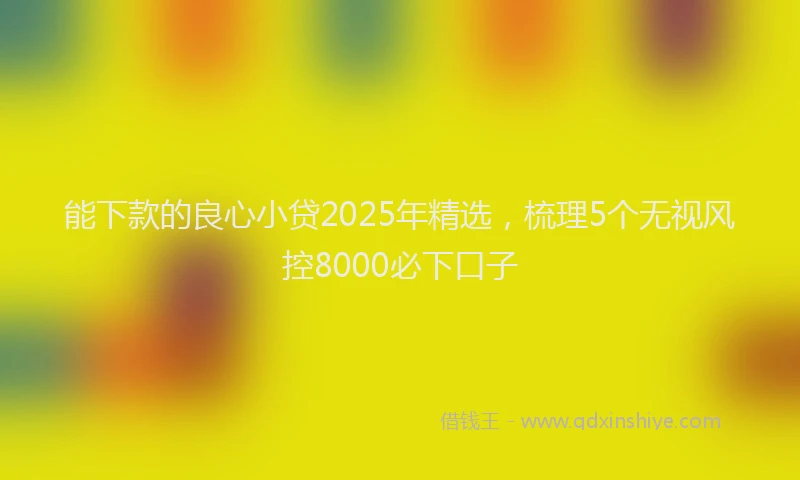 能下款的良心小贷2025年精选，梳理5个无视风控8000必下口子