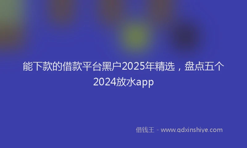 能下款的借款平台黑户2025年精选，盘点五个2024放水app