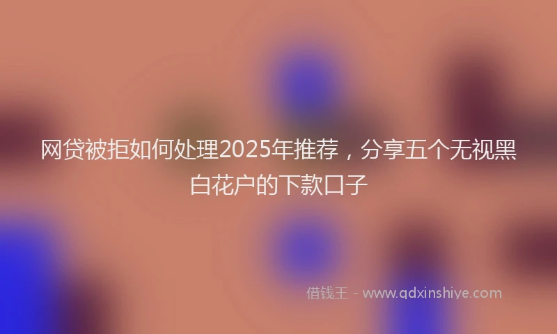 网贷被拒如何处理2025年推荐，分享五个无视黑白花户的下款口子