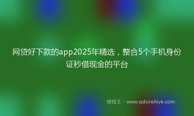 网贷好下款的app2025年精选，整合5个手机身份证秒借现金的平台