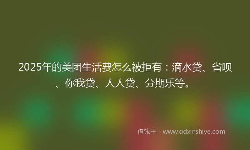 2025年的美团生活费怎么被拒有：滴水贷、省呗、你我贷、人人贷、分期乐等。