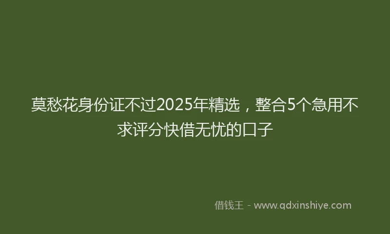 莫愁花身份证不过2025年精选，整合5个急用不求评分快借无忧的口子