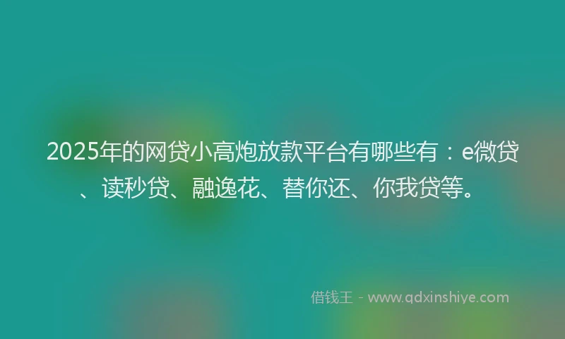2025年的网贷小高炮放款平台有哪些有：e微贷、读秒贷、融逸花、替你还、你我贷等。