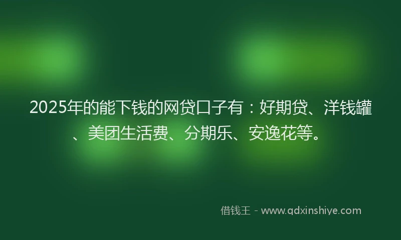 2025年的能下钱的网贷口子有：好期贷、洋钱罐、美团生活费、分期乐、安逸花等。