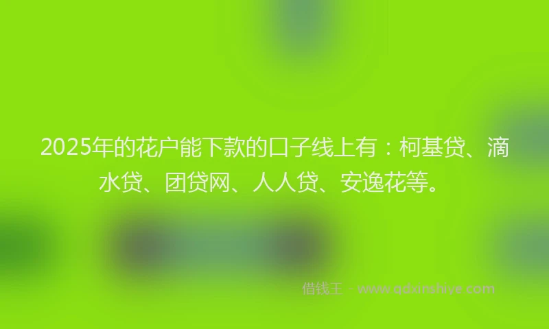 2025年的花户能下款的口子线上有：柯基贷、滴水贷、团贷网、人人贷、安逸花等。