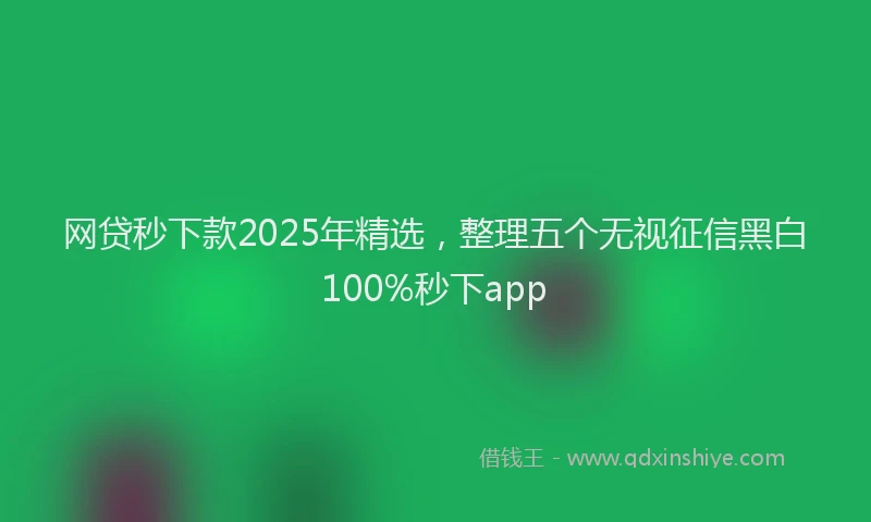 网贷秒下款2025年精选，整理五个无视征信黑白100%秒下app