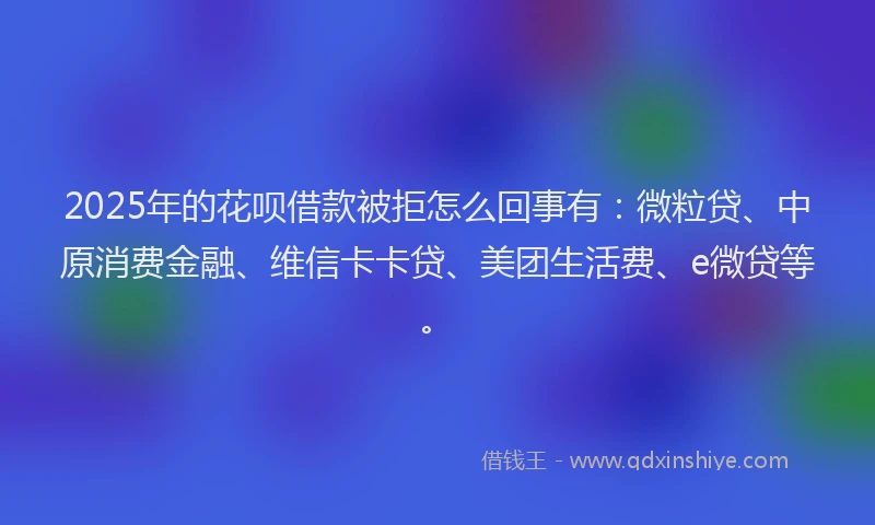 2025年的花呗借款被拒怎么回事有：微粒贷、中原消费金融、维信卡卡贷、美团生活费、e微贷等。