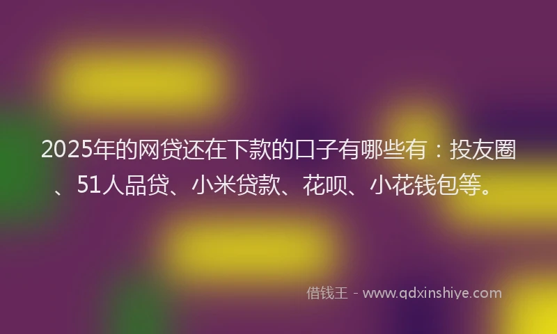 2025年的网贷还在下款的口子有哪些有：投友圈、51人品贷、小米贷款、花呗、小花钱包等。