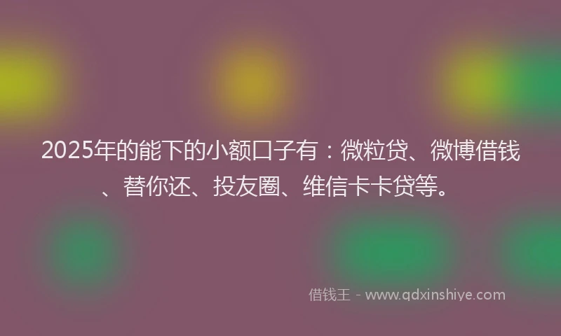 2025年的能下的小额口子有：微粒贷、微博借钱、替你还、投友圈、维信卡卡贷等。