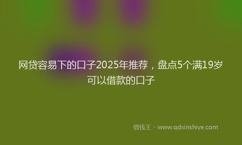 网贷容易下的口子2025年推荐，盘点5个满19岁可以借款的口子