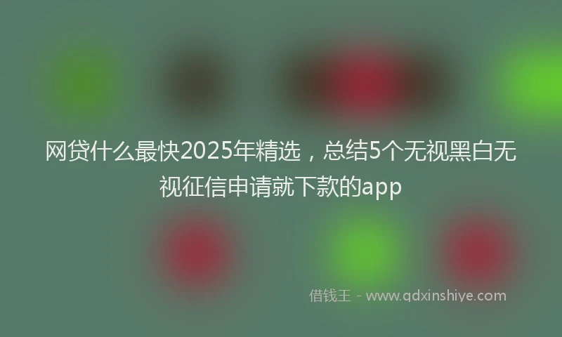 网贷什么最快2025年精选，总结5个无视黑白无视征信申请就下款的app