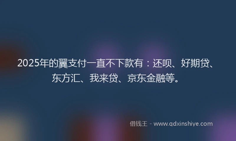 2025年的翼支付一直不下款有：还呗、好期贷、东方汇、我来贷、京东金融等。