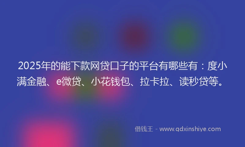 2025年的能下款网贷口子的平台有哪些有：度小满金融、e微贷、小花钱包、拉卡拉、读秒贷等。