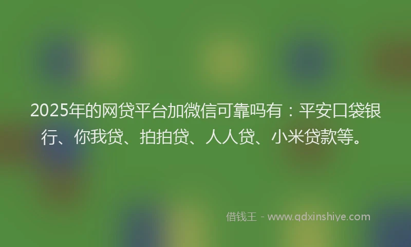 2025年的网贷平台加微信可靠吗有：平安口袋银行、你我贷、拍拍贷、人人贷、小米贷款等。