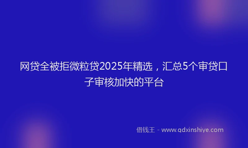 网贷全被拒微粒贷2025年精选，汇总5个审贷口子审核加快的平台