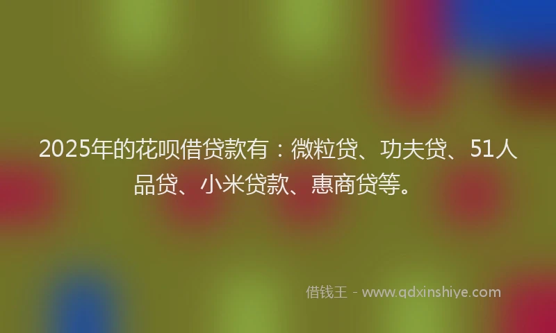 2025年的花呗借贷款有：微粒贷、功夫贷、51人品贷、小米贷款、惠商贷等。