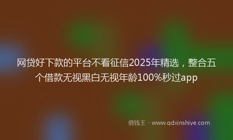 网贷好下款的平台不看征信2025年精选，整合五个借款无视黑白无视年龄100%秒过app